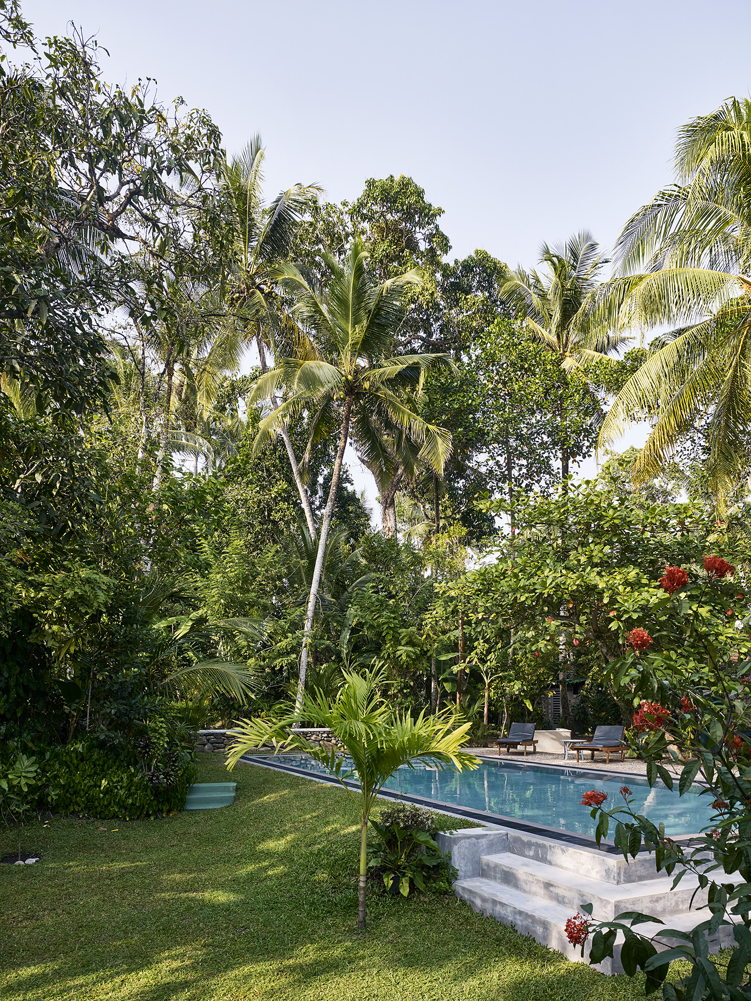 E16583 Alpa 055377 SCREEN